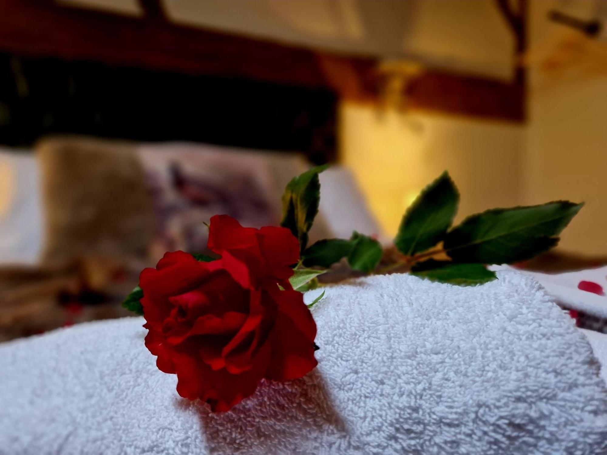 The Hamilton - The Studio Luxury Holiday Let'S Scorton  Bagian luar foto
